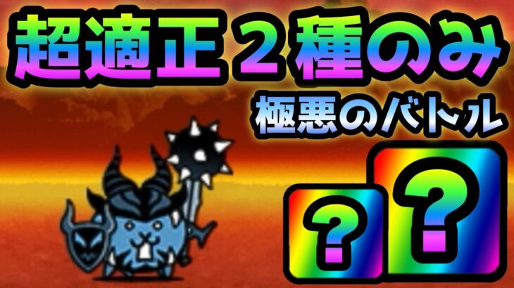 ハイパーバーサーカー  有れば勝ち確！超適正２種で攻略　にゃんこ大戦争　極悪のバトル降臨