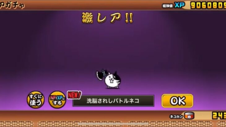 【にゃんこ大戦争】11周年記念ガチャミラクルセレクションで【洗脳されしバトルネコ】を引き当てて進化♫