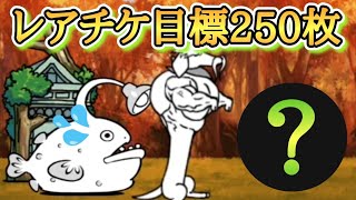 【にゃんこ大戦争】2024年の超極ネコ祭に向けてレアチケを250枚貯めます💪　無課金最強コンビで秋の大乱闘を制す　無課金