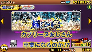 大安ですよ❗️極ネコ祭引くます。【にゃんこ大戦争】