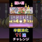 【クリスマスギャルズ】ガチャ半額消化11連チャレンジ‼️新規神引き⁉️爆死⁉️ #にゃんこ大戦争 #ガチャ #クリスマスガチャ