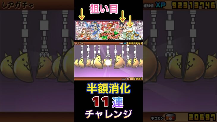 【クリスマスギャルズ】ガチャ半額消化11連チャレンジ‼️新規神引き⁉️爆死⁉️ #にゃんこ大戦争 #ガチャ #クリスマスガチャ