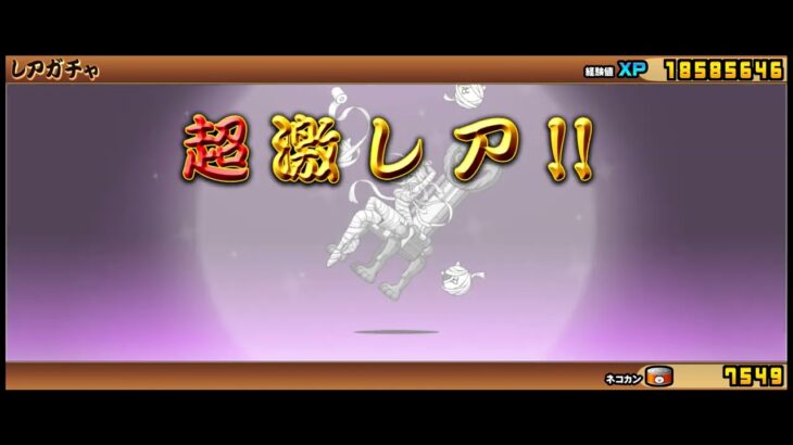 ギャルズモンズガチャ11連確定【にゃんこ大戦争】