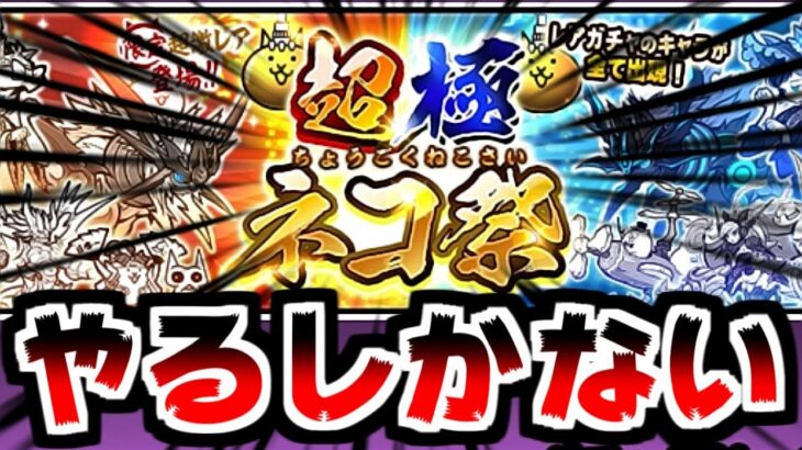 超極ネコ祭に新たなキャラ！？更に新ステージ追加もあったらしい！【ふたりで！にゃんこ大戦争】#39