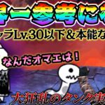 大狂乱のタンク　世界一参考になる実況解説　全キャラLv.30以下＆本能なし　にゃんこ大戦争