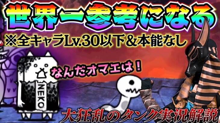 大狂乱のタンク　世界一参考になる実況解説　全キャラLv.30以下＆本能なし　にゃんこ大戦争