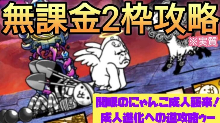 【にゃんこ大戦争】開眼のにゃんこ成人襲来！成人進化への道攻略してみた❗無課金2枠攻略！#117