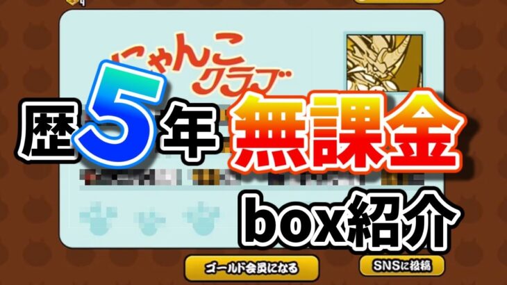 にゃんこ大戦争歴5年、無課金勢のboxを公開！【にゃんこ大戦争】