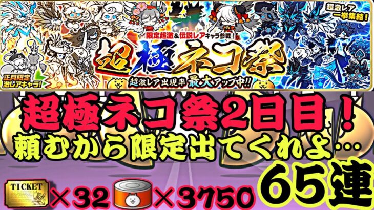 超極ネコ祭65連！伝説レアのイザナギを狙いたいが…第二弾！【にゃんこ大戦争】