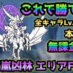 ガープラ密林 禍嵐凶林 エリアFINAL  ここ超絶簡単ですw   Lv.30以下＆本能なし＆無課金攻略  にゃんこ大戦争