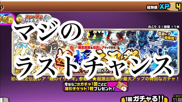 【にゃんこ大戦争】超極ネコ祭に全てをかけてガチャった結果