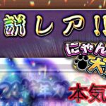 【にゃんこ大戦争】もう、イザナギや、他の伝説から、見捨てられたと思っていた自分…だがあの伝説が降臨しました…！！？伝説レア出たよ…えぇ、ヤバいよ…#にゃんこ大戦争#伝説レア