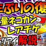 【にゃんこ大戦争】メタルスラッグ (メタスラ) コラボ開催!トラウマの  ソル・デ・ロカ参戦でレアチケやネコカン大量報酬 ゆっくり解説