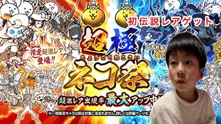 超極ネコ祭で伝説レアゲット！！にゃんこ大戦争