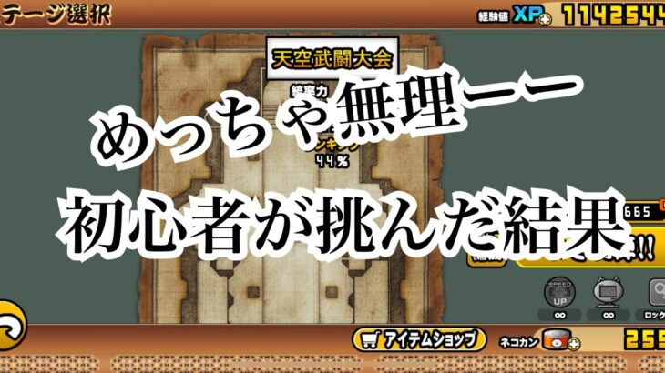 【にゃんこ大戦争】初心者がガチで天空武闘大会を挑んだ結果が酷すぎた