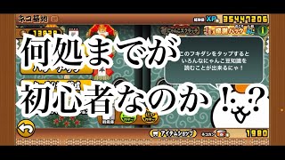 【にゃんこ大戦争】初心者じゃないとコメントが合ったので何処までが初心者なのか考えて見た