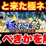 【実況にゃんこ大戦争】やっときたぞ極ネコ祭ガチャ！引くべきかを解説！