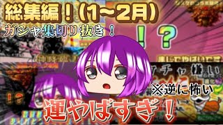 【ガチャ総集編】1～2月の運が凄すぎる…【にゃんこ大戦争】