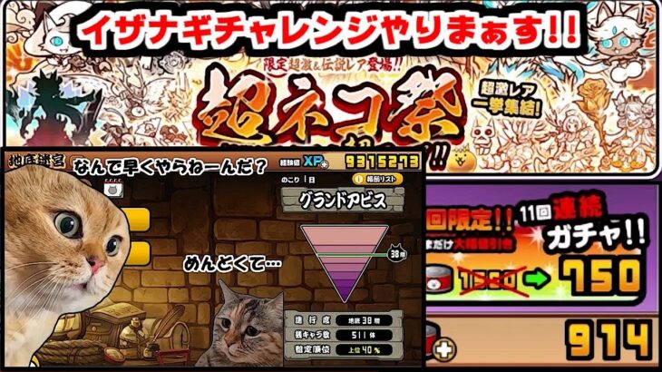 【にゃんこ大戦争】超ネコ祭にイザナギ参戦！ネコカンがまさかの誕生日！そして猫ミームに手を出す男【サブ垢実況#140】