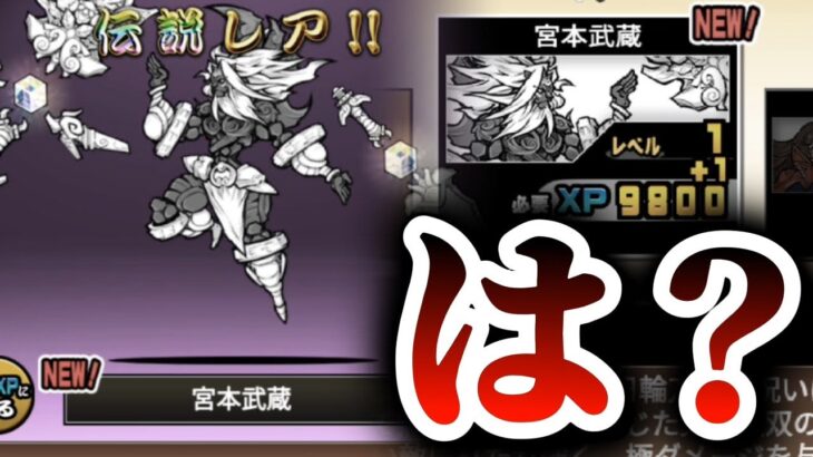 【悲報】真田を狙って引いたら”いらない伝説レア”が2体も出てきました【にゃんこ大戦争】