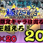 極ネコ祭20連！久しぶりの限定キャラは手に入るのか？【にゃんこ大戦争】