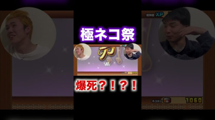 【にゃんこ大戦争】爆死or黒キャス？！極ネコ祭で10連した結果！！！！#shorts