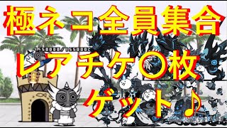 【極ネコ全員集合】　風雲にゃんこ塔でレアチケ10枚ゲット♪　にゃんこ大戦争　無課金ユーザー