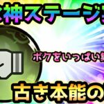 古き本能の秘境  マジで神強化アイテム！無課金2枠で攻略　にゃんこ大戦争