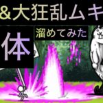 洗脳&大狂乱ムキあし20体ずつ溜めてみた！　にゃんこ大戦争　ゲノム盆踊り