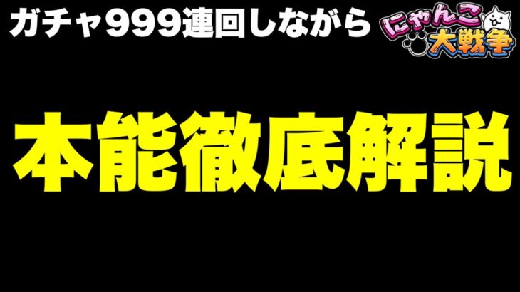 【実況にゃんこ大戦争】ガチャ999連しながら本能徹底解説「初心者必見」