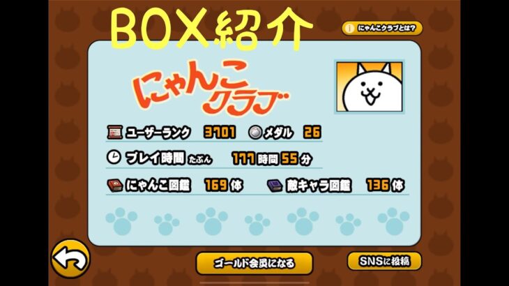 BOX紹介するべ