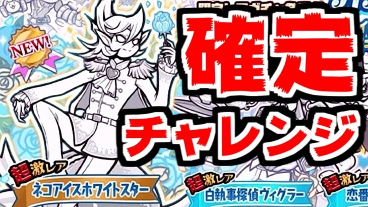 【にゃんこ大戦争】ホワイトデーガチャ確定チャレンジ！ネコアイスホワイトスター一点狙いだぜ！【本垢実況Re#1861】