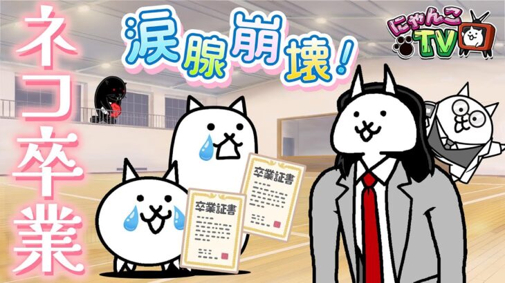 【にゃんこTV】ときめきにゃんこ学園+9000万DL記念後編にゃ！【にゃんこ大戦争公式】