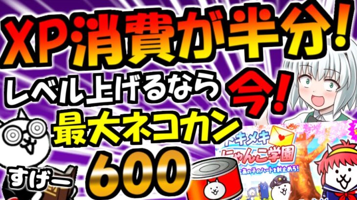 【にゃんこ大戦争】XPレベル上げがお得なキャンペーン開始！？長期 イベント トキメキにゃんこ学園内容 徹底解説【ゆっくり解説】