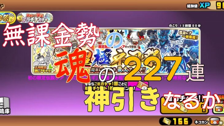 【各mad×にゃんこ大戦争】無課金勢が超極ネコ祭で227連回した結果が…！？