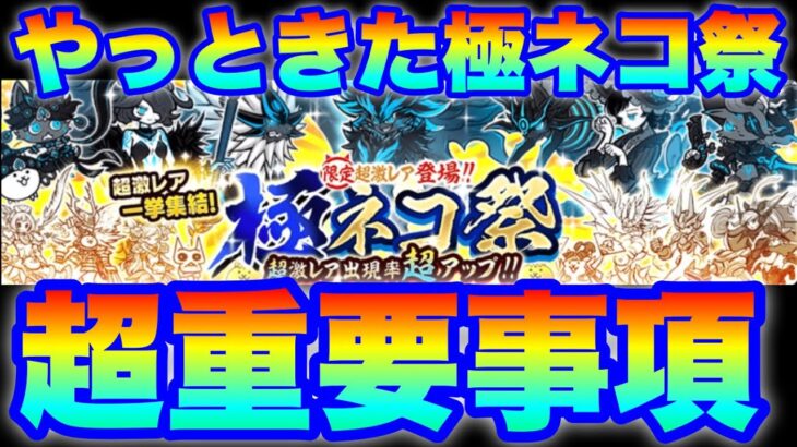 【実況にゃんこ大戦争】今回の極ネコ祭は超重要なコト話します