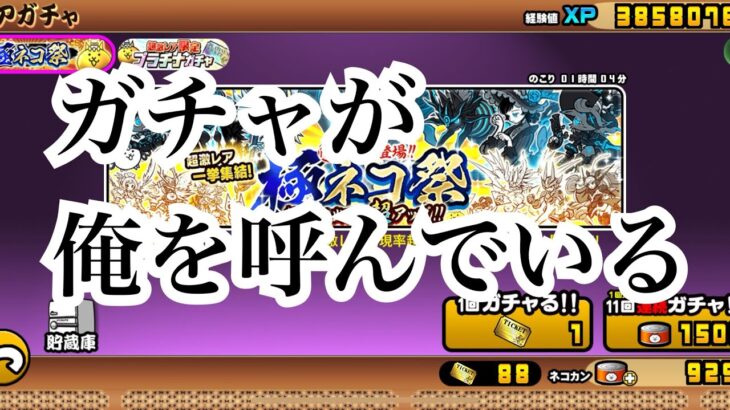 【にゃんこ大戦争】ガチャが俺を呼んでる気がしたので、ガチャシュミレーターを使ってガチャった結果です。ちなみに幻聴が聞こえてる訳では無いです