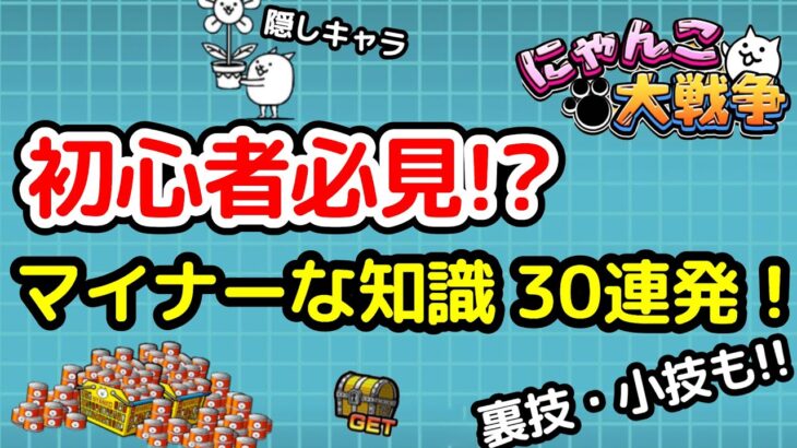 【にゃんこ大戦争】マイナーな知識30連発！裏技や小技も！みんなは何個知ってる？？【The Battle Cats】