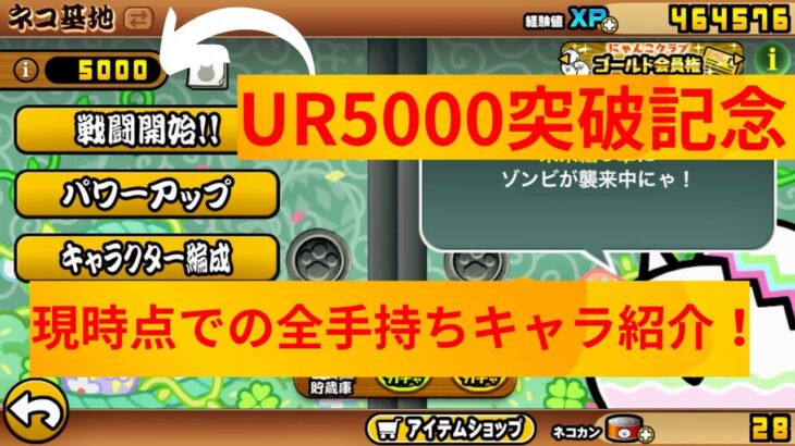 UR5000に到達したので全手持ち紹介します！