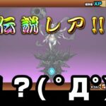 にゃんこ大戦争　超極ネコ祭　青玉集めて伝説レア　イザナミ入手♪