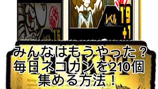 にゃんこ大戦争］毎日ネコカン210個を簡単に貯める方法！