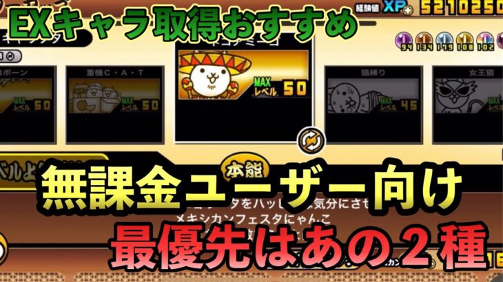 【にゃんこ大戦争】無課金ユーザー向け　ネコ缶使用EXキャラ取得おすすめ