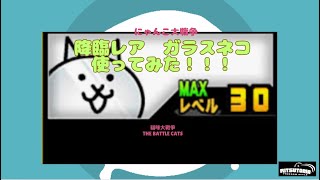 《にゃんこ大戦争-The battle cats》￥無課金勢￥ 【使ってみた】ガラスネコ240520[貓咪大戰爭-냥코 대전쟁]