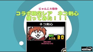 《にゃんこ大戦争-The battle cats》￥無課金勢￥ 【使ってみた】コラボ限定レア（ネコ剣心）240523[貓咪大戰爭-냥코 대전쟁]