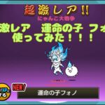 《にゃんこ大戦争-battle cats》￥無課金勢￥使ってみたシリーズ！！！超極ネコ祭にてゲットした「運命の子 フォノ」を使ってみた♪240508　[貓咪大戰爭]