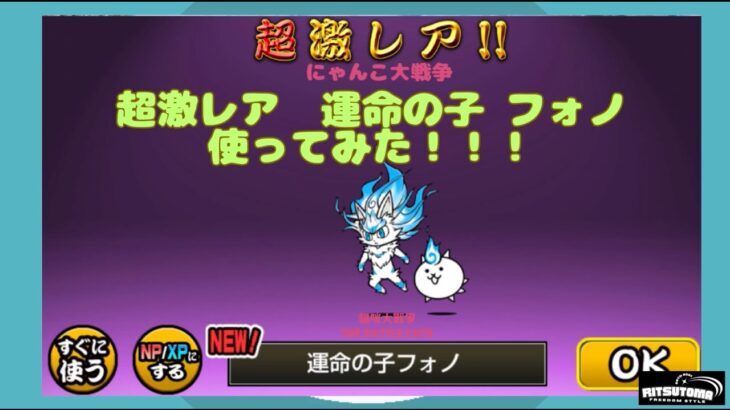 《にゃんこ大戦争-battle cats》￥無課金勢￥使ってみたシリーズ！！！超極ネコ祭にてゲットした「運命の子 フォノ」を使ってみた♪240508　[貓咪大戰爭]