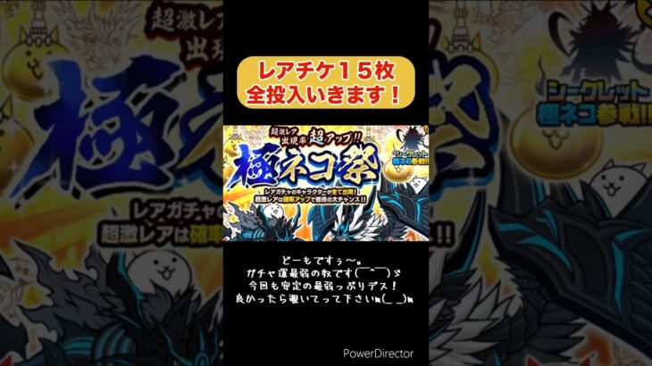 【にゃんこ大戦争】極ネコ祭ガチャ_安定のガチャ運最弱っぷりにビックリ！そろそろ超激レア引けると思ってた😅 #short #にゃんこ大戦争 #ガチャ