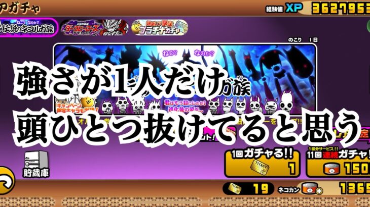 【にゃんこ大戦争】今来てる確定ガチャは、引くべきかどうか考えて見た