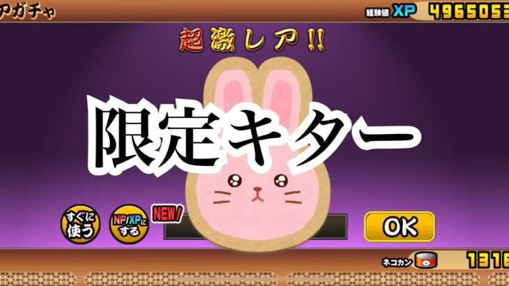 【にゃんこ大戦争】超極ネコ祭のリベンジガチャしたら、やっと限定キャラキター