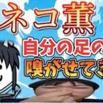 【にゃんこ大戦争】こいつ自分の足の臭い嗅がせてきそうwww　レジェンドクエスト